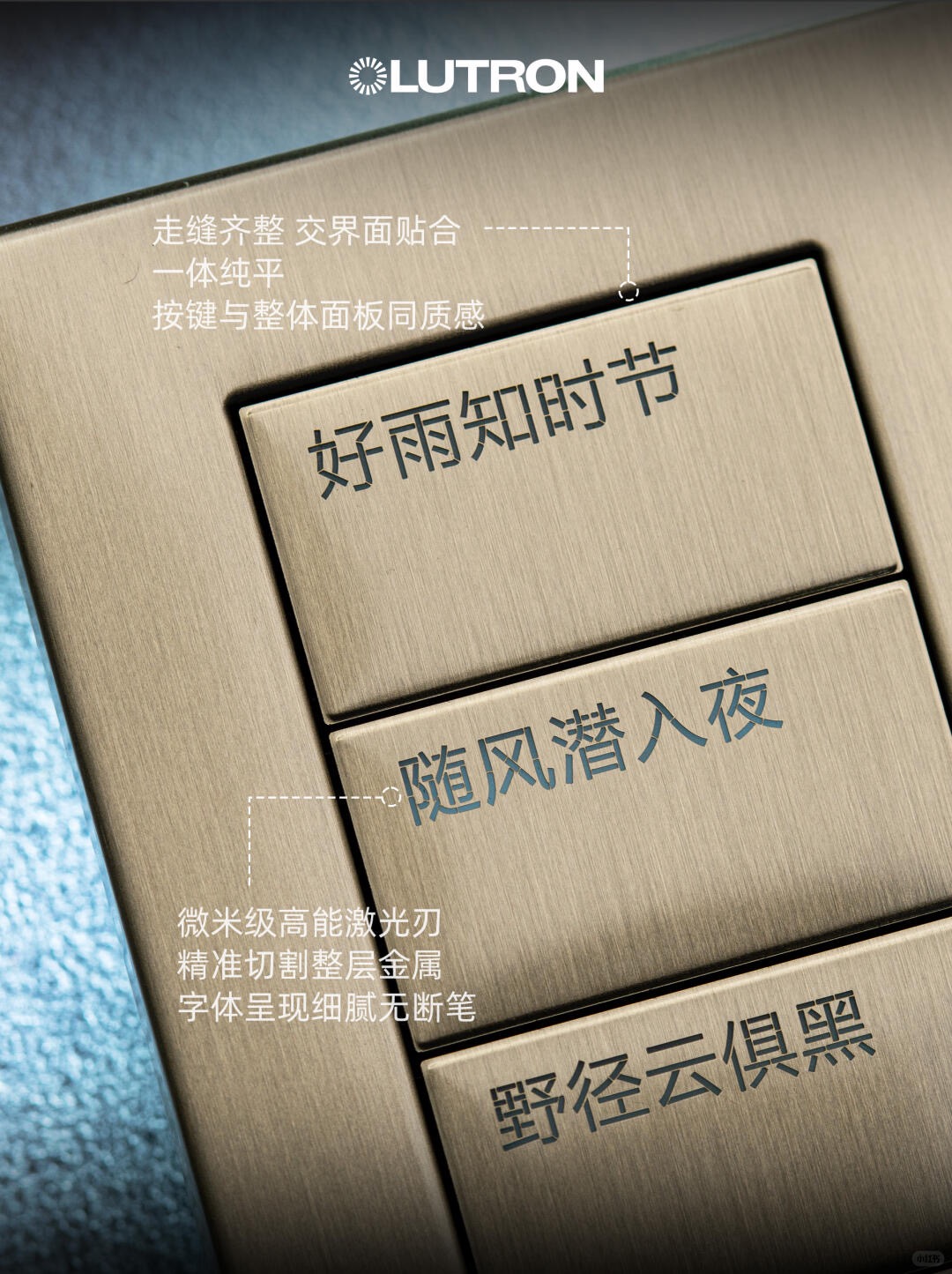 帕拉丁(Palladiom) 更多图示